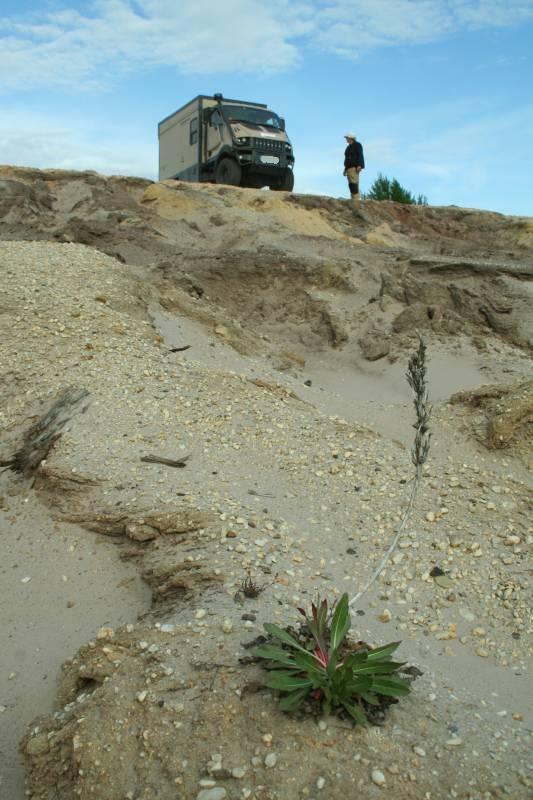 [Linked Image von wc56.eu]